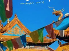 -呼和浩特博物馆