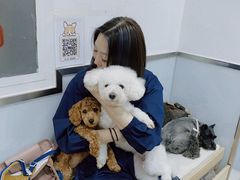 -宠福鑫康馨动物医院·骨科·眼科