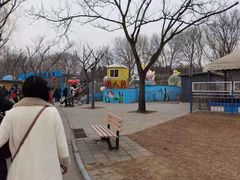 -朝阳公园游乐园