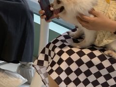 -怪兽屋·羊驼·猫咖·狗咖(俊华广场店)