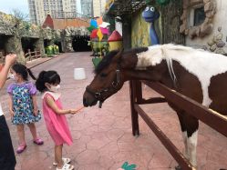 -宝燕乐园(闵行旗舰店)