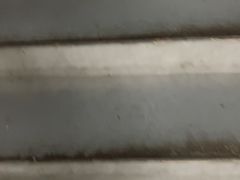 -巢爷老味(东方红店)