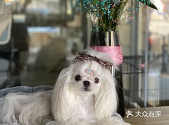 做个安静的美少女，静静的等你们来欣赏我的美