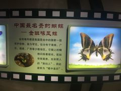 -上海昆虫博物馆