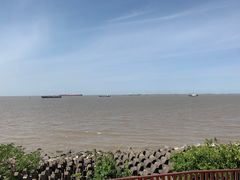 -上海滨江森林公园