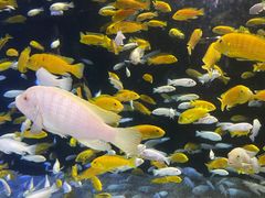 -成都浩海立方海洋公园