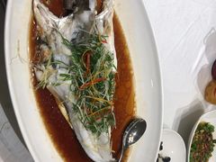 -春天来了(印象新天地店)