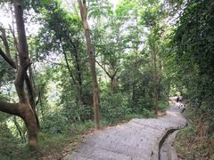 -火炉山森林公园