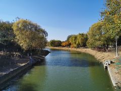 -大兴滨河森林公园