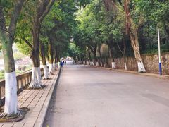 -西南政法大学(沙坪坝校区)