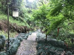 -梦姑塘文化公园