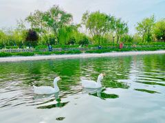 -西安汉城湖景区