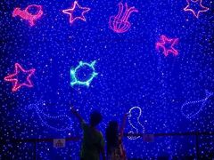 -烟台海昌鲸鲨海洋公园