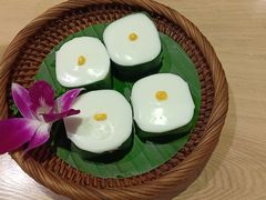 -mango tree芒果树(万象城店)
