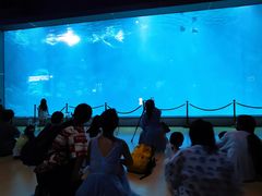 -福州罗源湾海洋世界旅游区