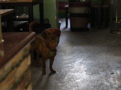 -炙热童年·老北京炙子烤肉(南锣鼓巷店)