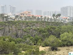 -霞山观海长廊