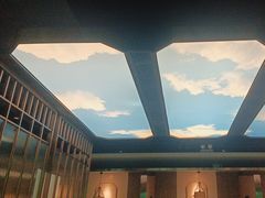 -野妹火锅(龙岗店)
