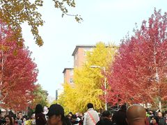 -辽宁大学(崇山校区)