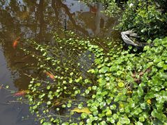 -洞背山庄(洞背院区式管理小区店)