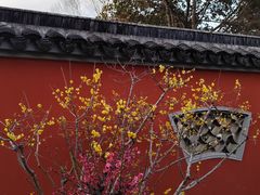 -无锡梅园公园