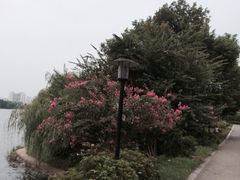 iphone_upload_pic-湖南烈士公园(芙蓉区)