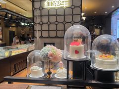 -红跑车(滨湖银泰店)