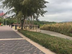 -深圳湾公园(南山区)
