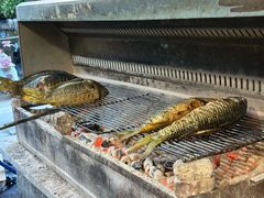 -杨合林啊兰烤鱼