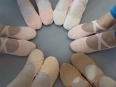 -芭蕾仙子 FairyBallet 少儿芭蕾舞蹈中心(丽都旗舰店)