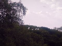 -霞山观海长廊