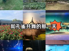 -武汉园博园(武汉自然博物馆)