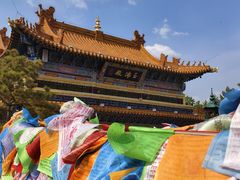 -大召无量寺