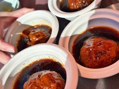 张氏狮子头-羲和雅苑•北京烤鸭(乐园道万象城店)