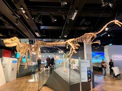 -墨尔本博物馆(Melbourne Museum)