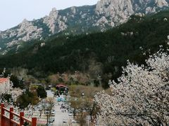 -崂山九水游览区