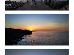 -南汇新城海滩