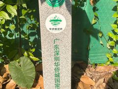 -华侨城湿地公园