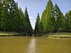 -黄海国家森林公园