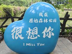 -西双版纳原始森林公园