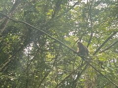 -西岭雪山大飞水景区