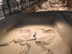 -洛阳周王城天子驾六博物馆