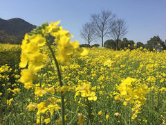 -东钱湖阳光沙滩