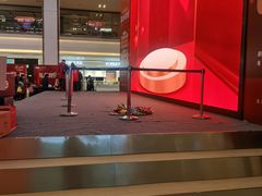 -索菲亚衣柜橱柜家具全屋定制(汶水红星店)