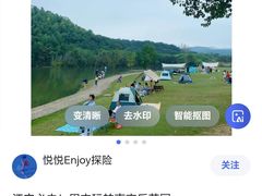 -大塘金香草谷
