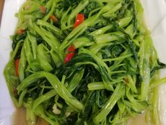 丝椒腐乳炒通菜-竹溪百福酒家(同和店)