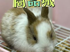 -三旗百汇商品城