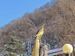 -陕西省红河谷森林公园