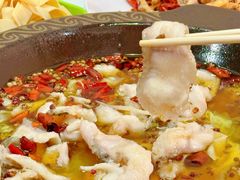 -金三可市井水煮鱼(金碧园店)