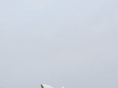 -碧海金沙